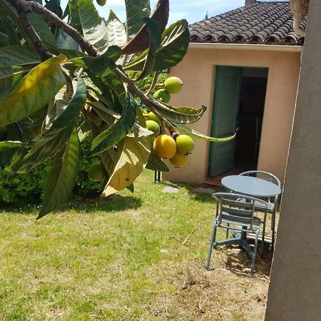 Grand Studio La Roquette-sur-Siagne Exterior foto